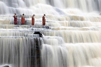 Meditating monks
