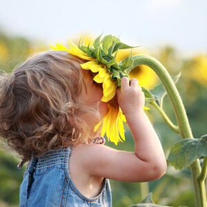 Flower essence children