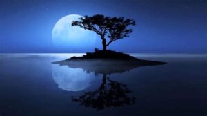 Peaceful nature